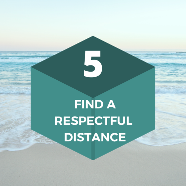 Block 5: Find a Respectful Distance- The Skill Building Blocks)