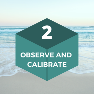 Block 2: Observe and Calibrate (The Skill Building Blocks)