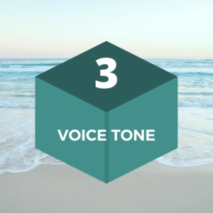 Block 3: Voice Tone - The Skill Building Blocks)